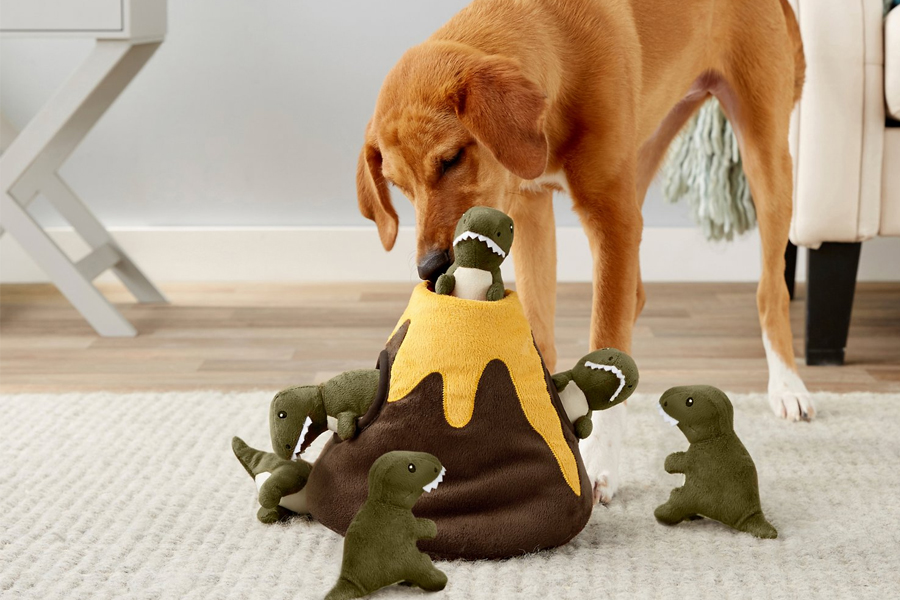 chewies dog toys