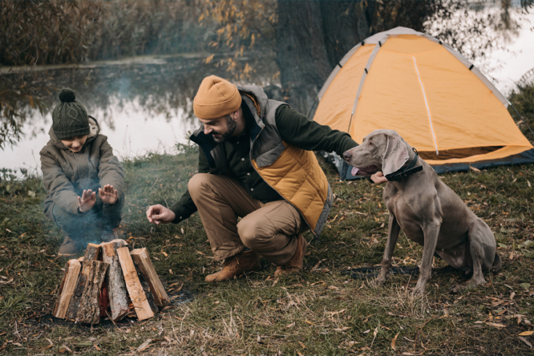 10-best-dog-friendly-camping-spots-in-nsw-man-of-many