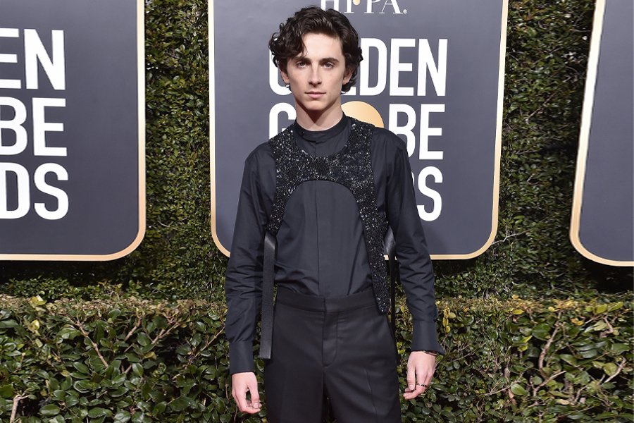 Timothée Chalamet's Guide To Style