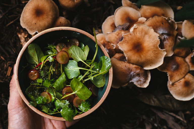 10 Best Vegan Restaurants in Brisbane Man of Many