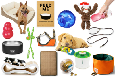 22 Best Pet Gifts - for Dogs, Cats, & More