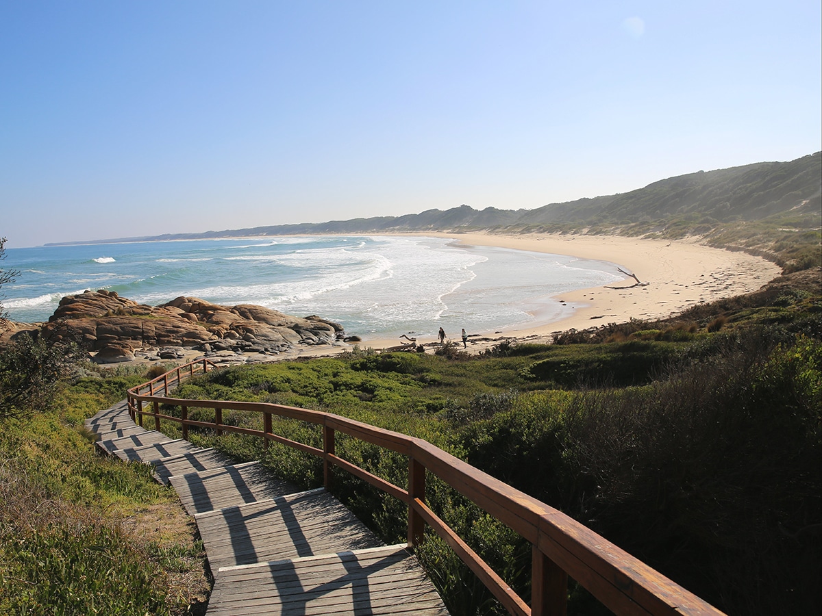 wooden stairs down to the cape conran gippsland beach