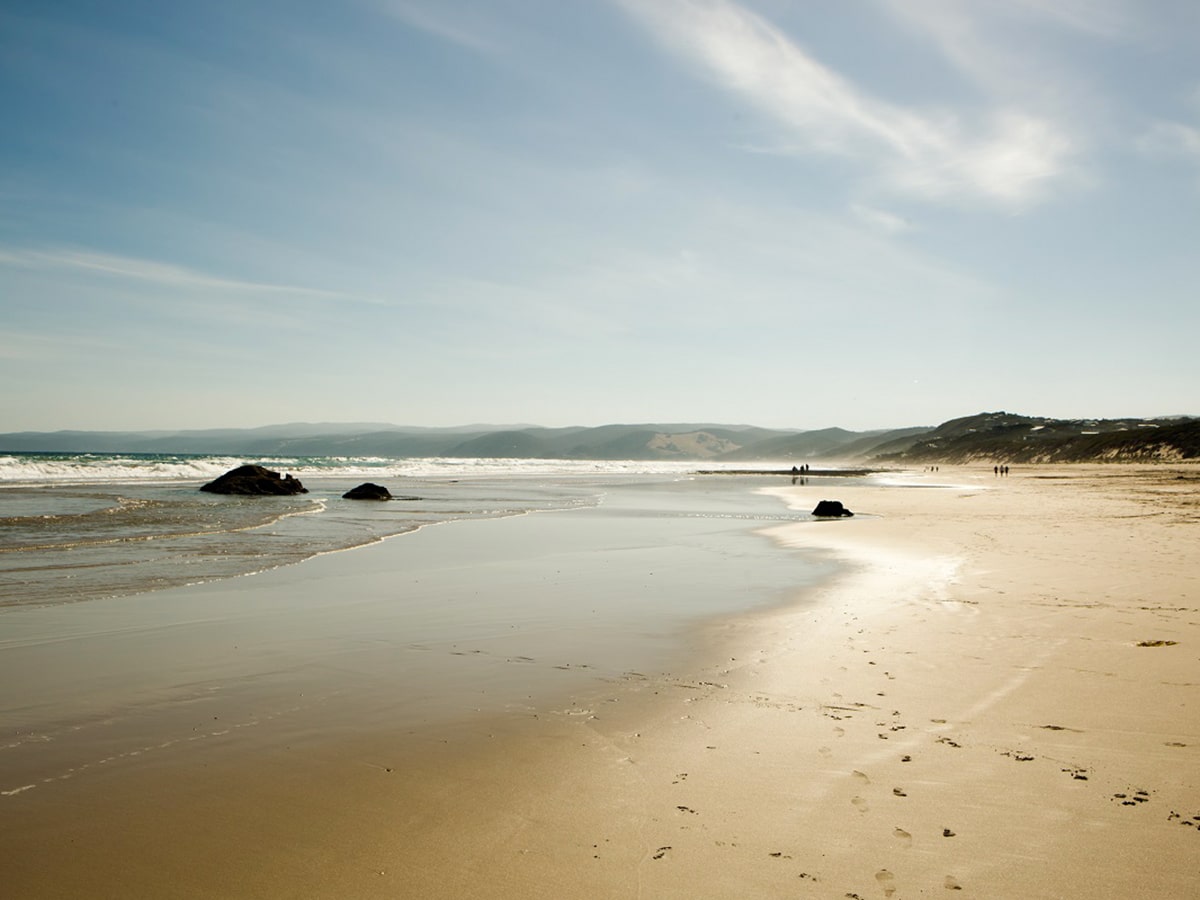 fairhaven beach veiw 