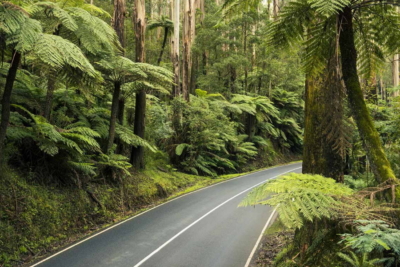 9 Incredible Australian Road Trips For Car Enthusiasts | Man of Many