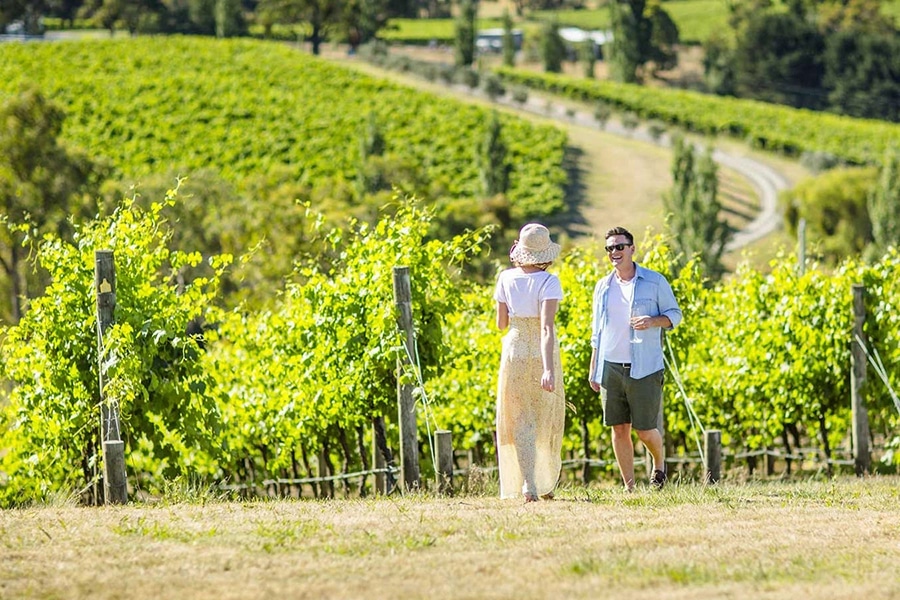 10 best day trip ideas from melbourne yarra valley wine and wildlife