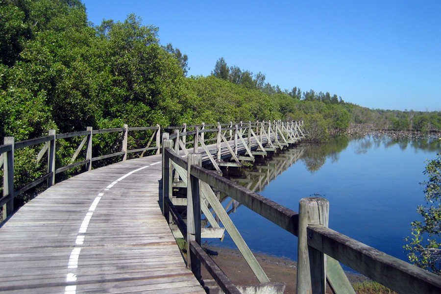 Best Walking Tracks in Brisbane Boondall Wetlands Bikeway, Boondall Wetlands