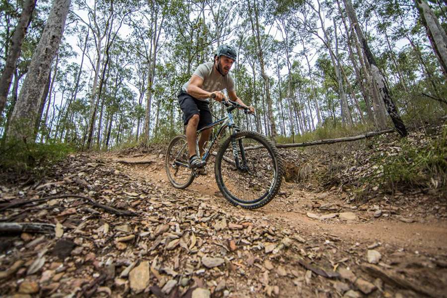 Best Walking Tracks in Brisbane Bunyaville Track, Bunyaville Regional Park