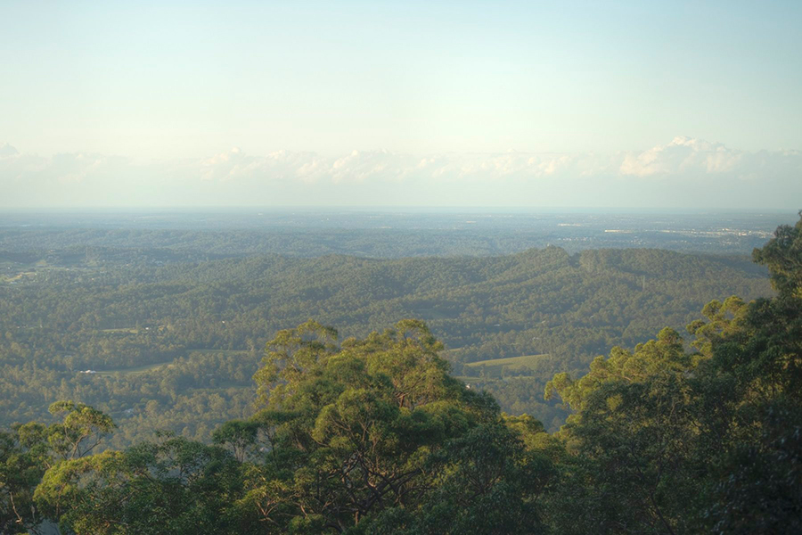 Best Walking Tracks in Brisbane Crebra Circuit, Samford Regional Park