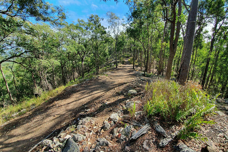 Best Walking Tracks in Brisbane Devils Break Loop, Moggill Regional Park