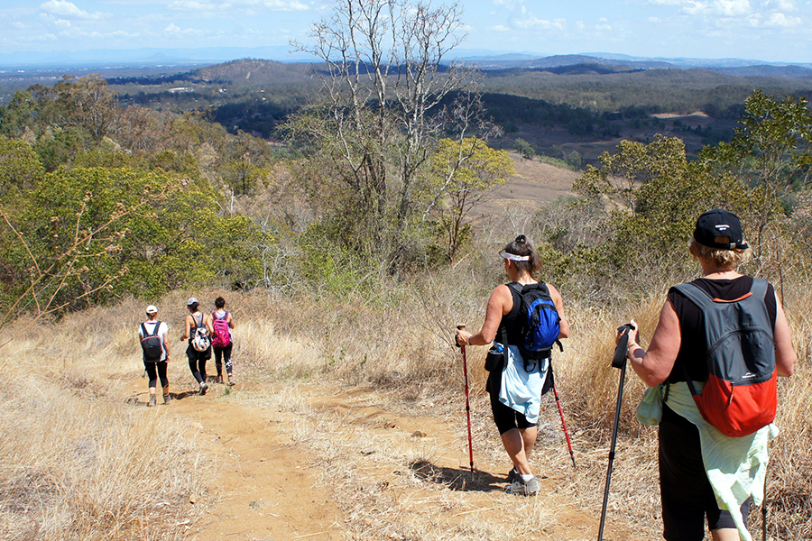 Best Walking Tracks in Brisbane Mermaid Mountain, Brisbane Forest Park