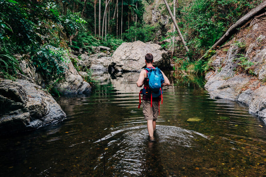 Best Walking Tracks in Brisbane Northbrook Gorges, Brisbane Forest Park