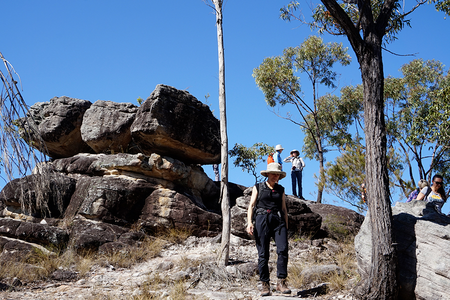 Best Walking Tracks in Brisbane Poets Rock, Karawatha Forest