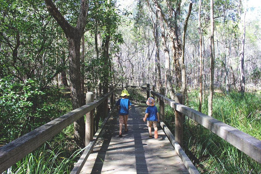 Best Walking Tracks in Brisbane Stockyard Creek walking track, Brisbane Koala Bushlands