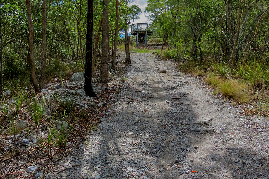 Best Walking Tracks in Brisbane Summit & Federation Track, Mt Gravatt