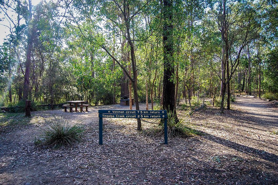 Best Walking Tracks in Brisbane Venman Circuit, Venman Bushland National Park