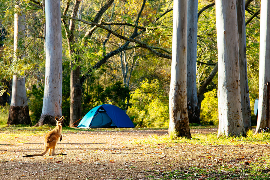 Best lake camping near me - Explore & book lake camping in the US - Hipcamp