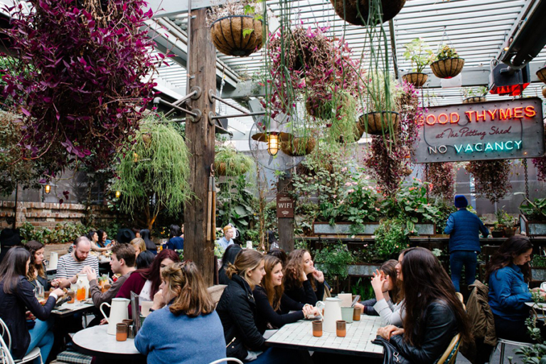 29 Best Brunch in Sydney Man of Many