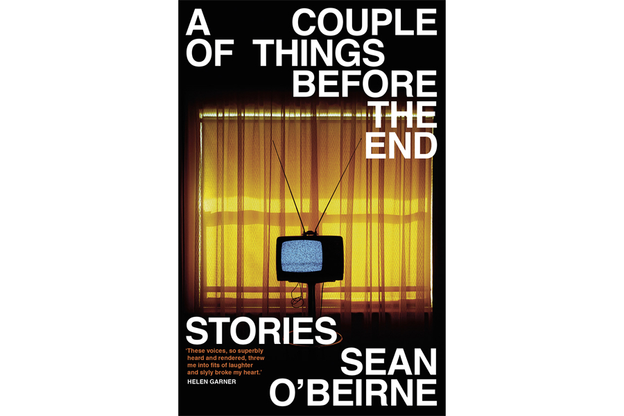 A Couple of Things Before the End- Stories by Sean O'Beirne