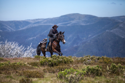 Riding It Out, the Aussie Legend Who Battled the Blaze Head On