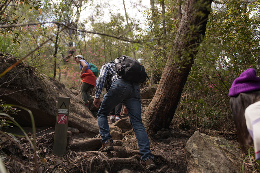 Best Walking Tracks and Trails Sydney Brooklyn to Cowan