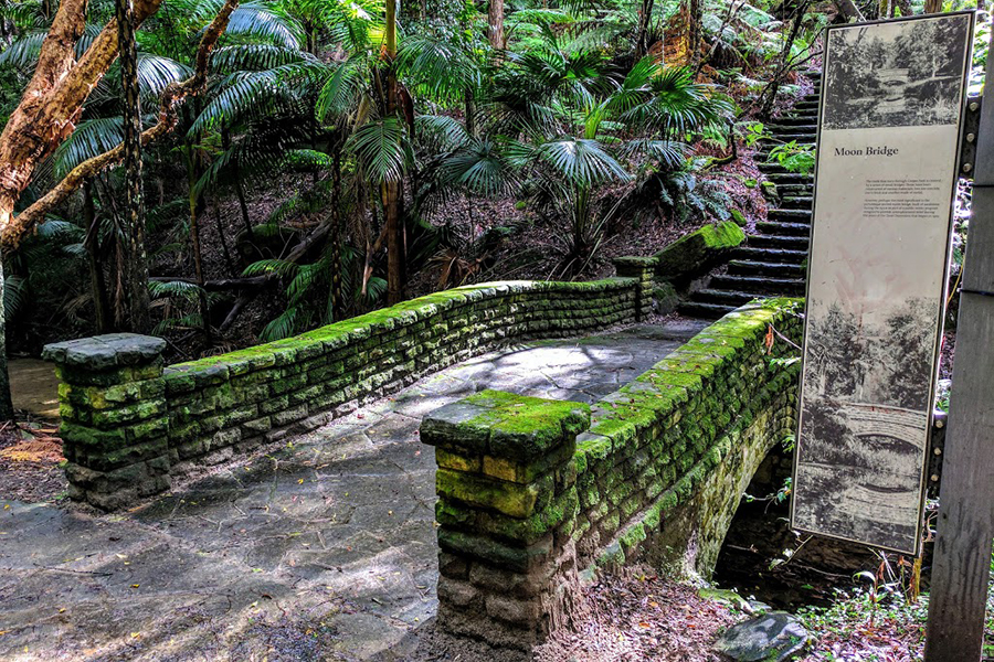 Best Walking Tracks and Trails Sydney Cooper Park walking trails