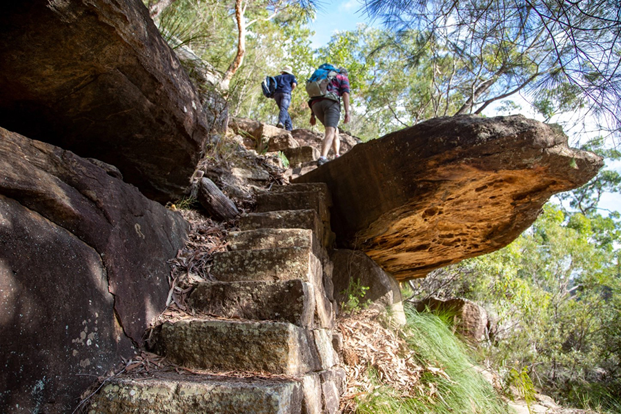 Best Walking Tracks and Trails Sydney Cowan to Berowra