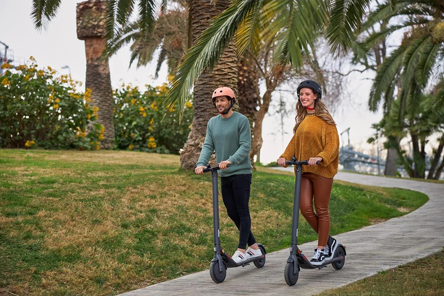 Best Electric Scooters for Adults