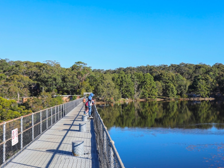 12 Best Fishing Spots in Sydney Man of Many