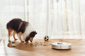 Roborock S6 in front of a dog eating food scattered on floor
