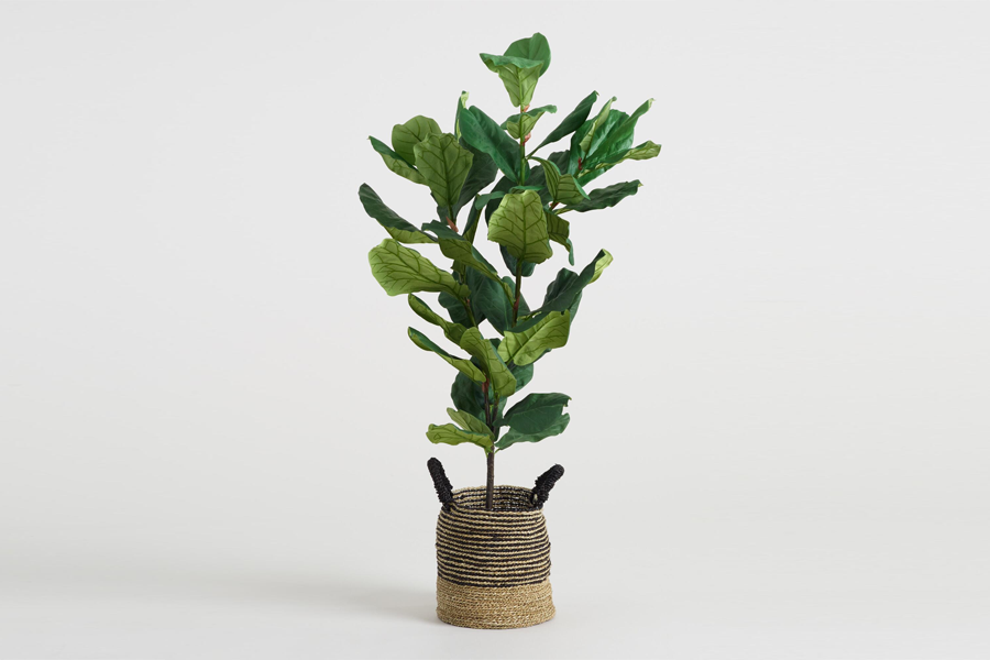 World Market Faux Fiddle-Leaf Fig Plant