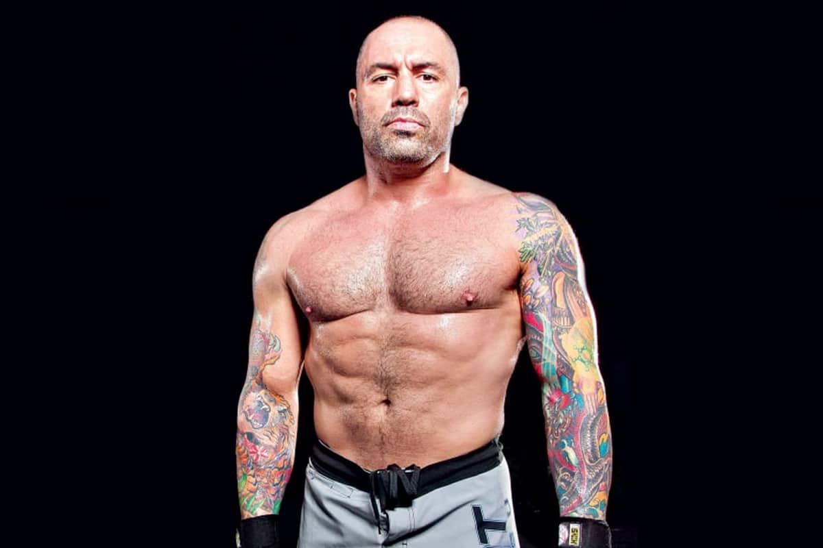 Carnivore diet 1 joe rogan