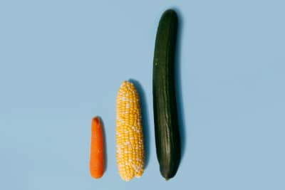 Researchers Create 3D-Printed Penises to Test if Size Really Matters