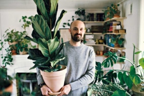 Best indoor plants