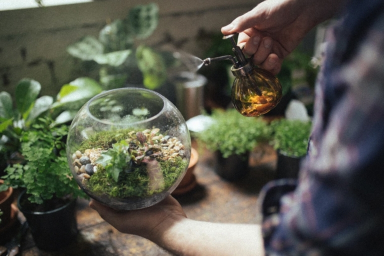 Best Indoor Plants 30+ Hard to Kill Houseplants Man of Many