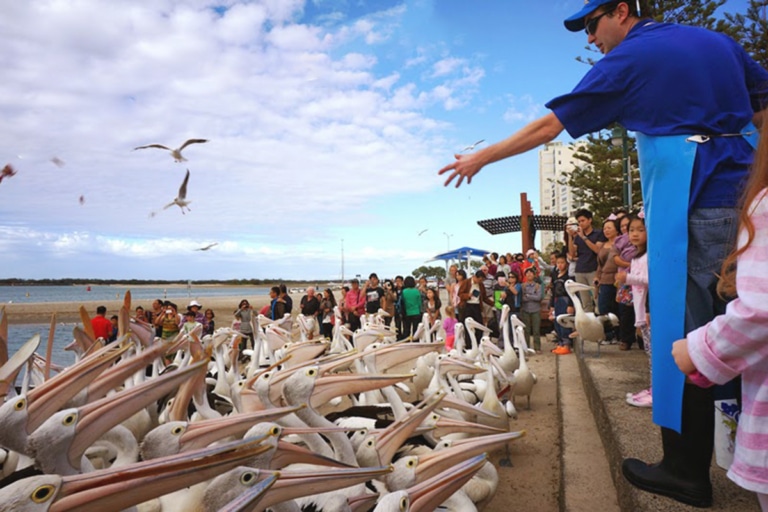 13 Spots for the Best Fish and Chips on the Gold Coast Man of Many