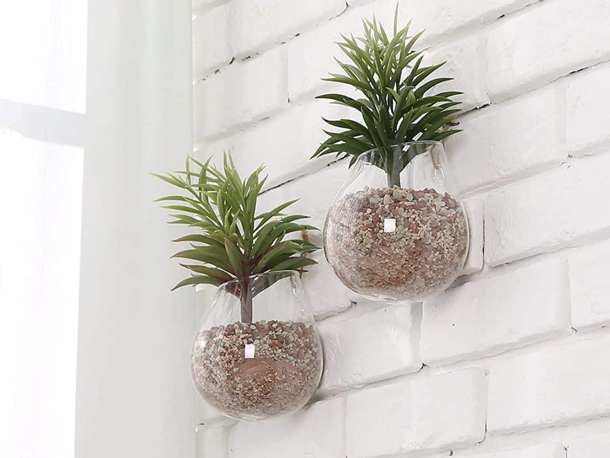 hanging planter