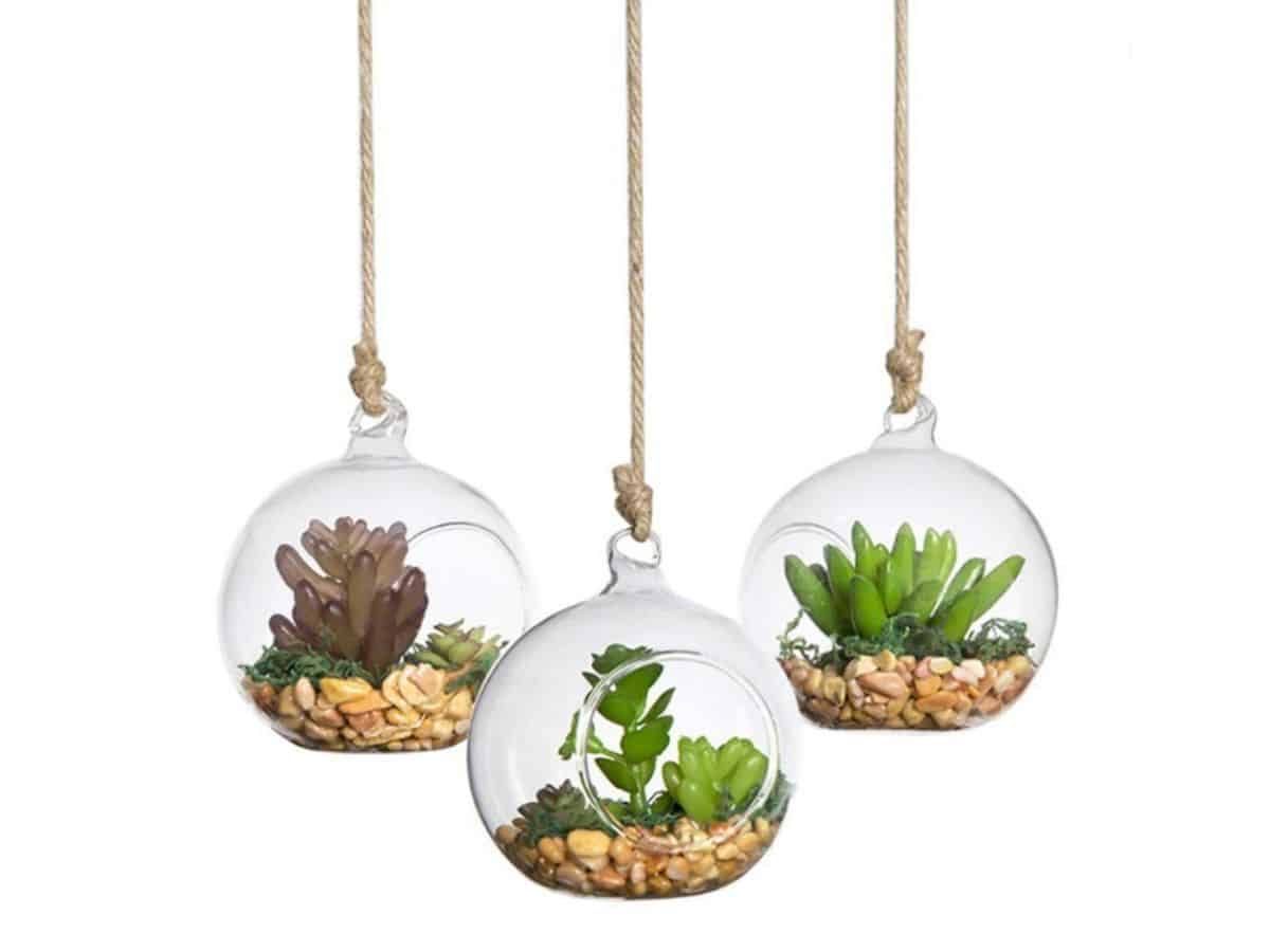 hanging terrarium