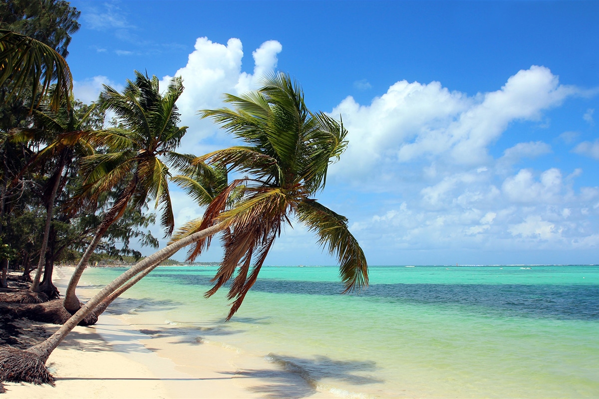 bavaro beach with palm trees