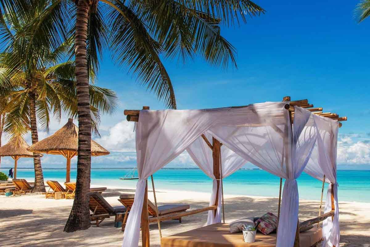 shelter from the sun and palm trees on the nungwi beach