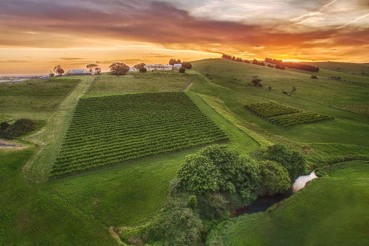 willowvale estate farm outdoors