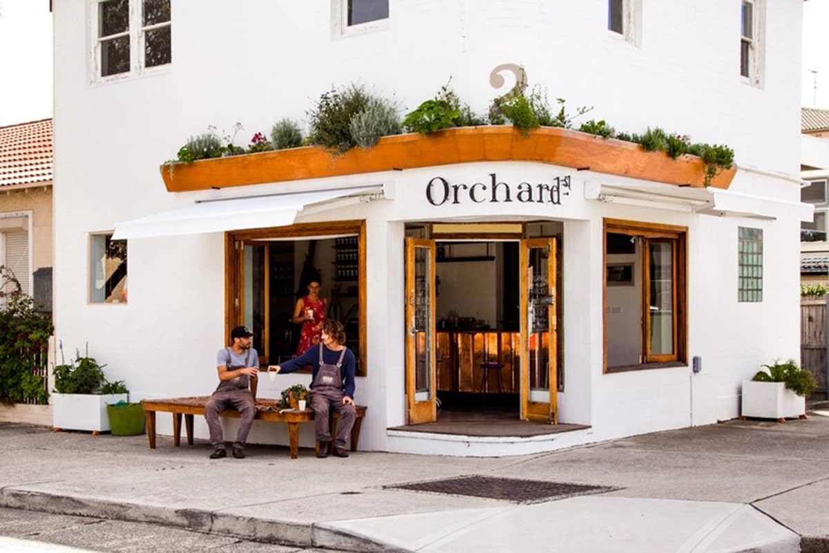 Best Bondi Cafes for Breakfast and Brunch Orchard St Organic Juice and Raw Food Elixir Bar