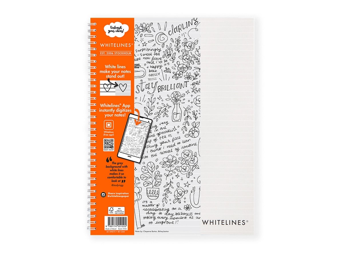 Best notebooks that are not moleskine whitelines notebooks