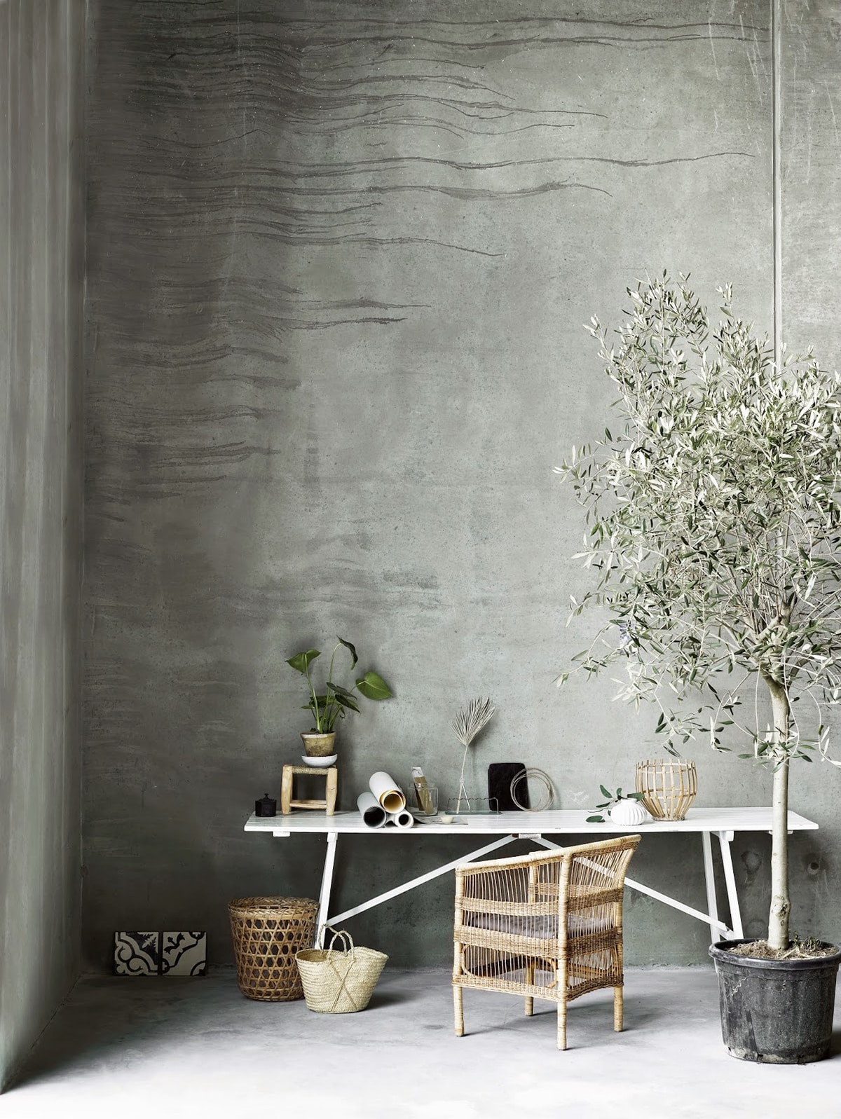 Home office with grey wall, wicker chair in front of table and a large plant tree next to it