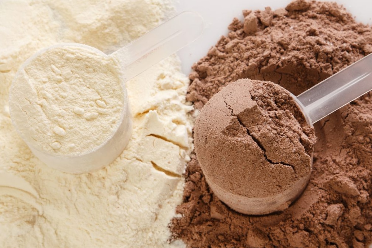 Protein powders