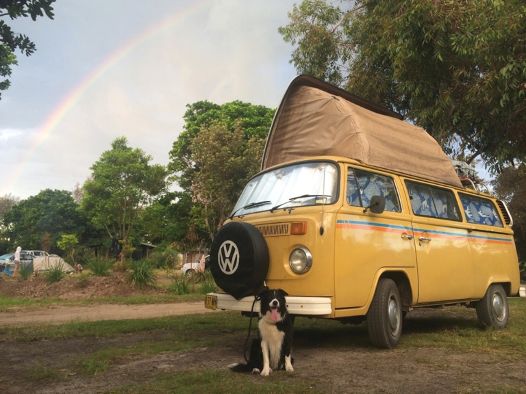 10 Best DogFriendly Camping Spots in NSW Man of Many