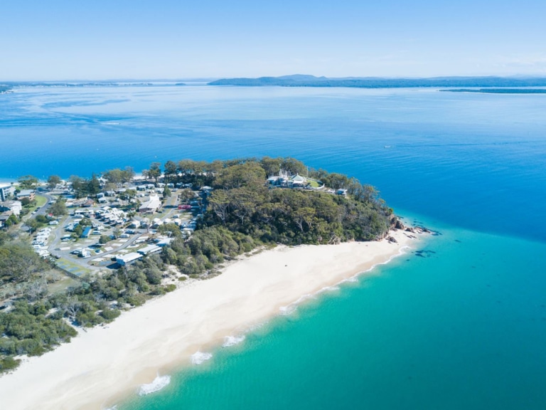 11 Best DogFriendly Camping Spots in NSW Man of Many