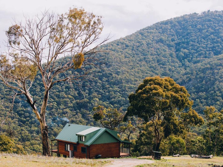 11 Best DogFriendly Camping Spots in NSW Man of Many