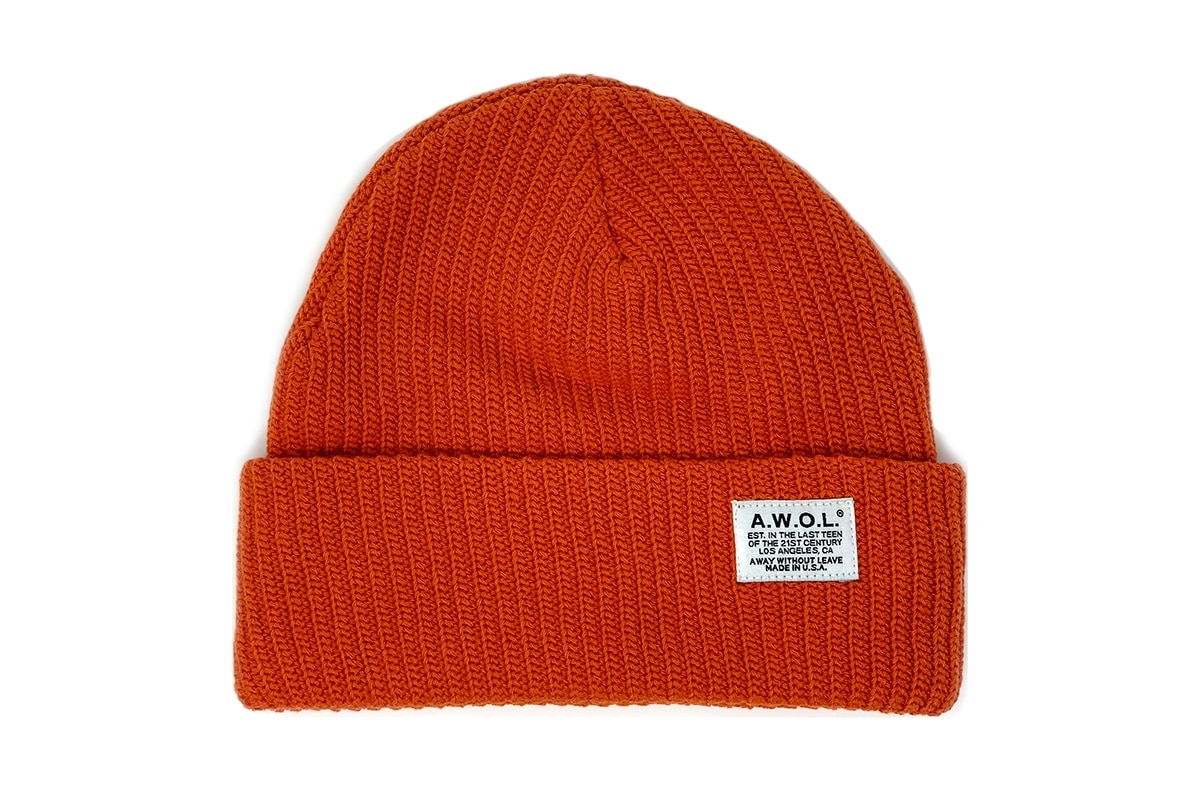  Best Beanies for men - away without leave fisherman