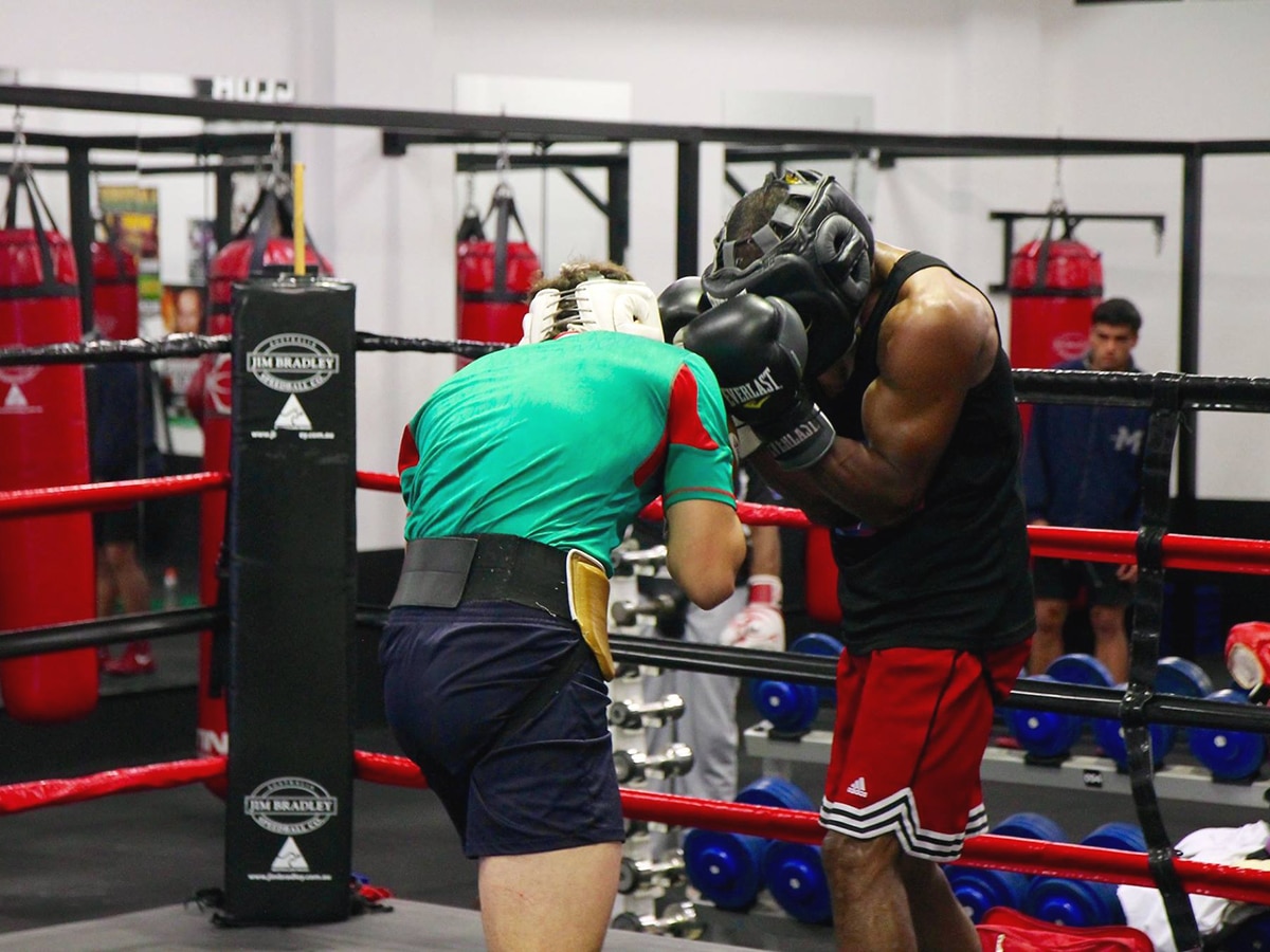 boxing training at bondi boxing club waterloo