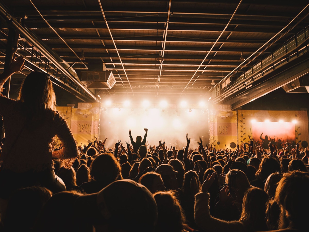 crowd of people at music concert